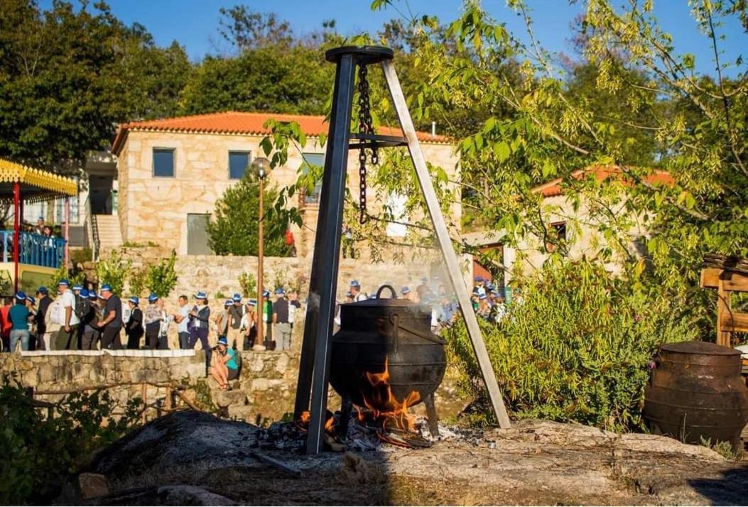 Trebid'Ouro Villa Vale de Cambra Bagian luar foto