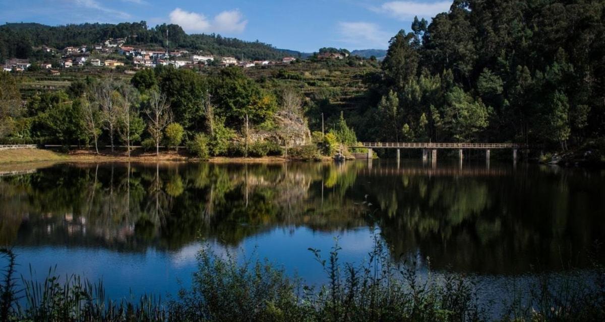 Trebid'Ouro Villa Vale de Cambra Bagian luar foto